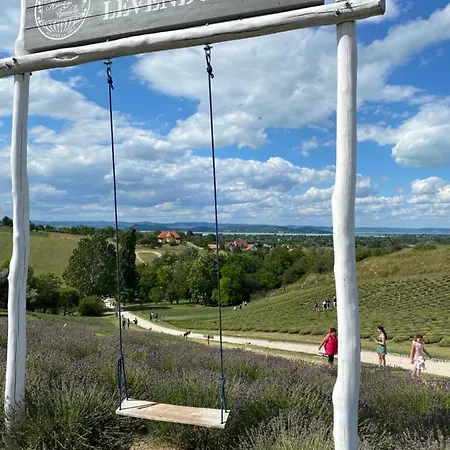 Malna Juventus * Balatonföldvár