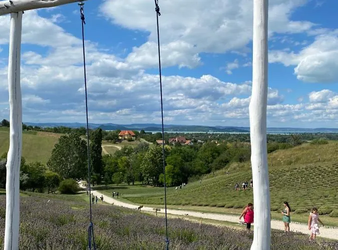 Malna Juventus * Balatonföldvár